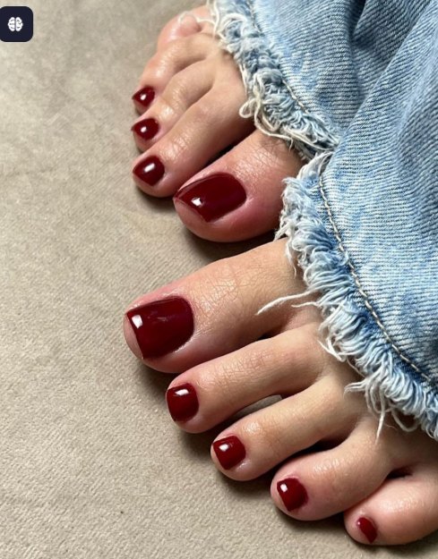 Red Wine/Maroon Toe Nails Nior Nails